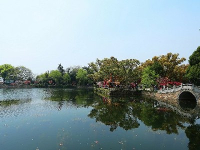 抖音月付取现利息高吗？年化利率实测与使用提醒