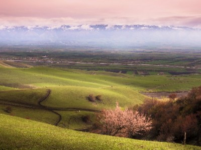 商家花呗收款遇上限？安出掌柜助力提升额度稳经营