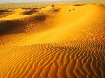 花呗近期无法套现？风控升级+监管趋严，合规用款看这里（出财小神提示）