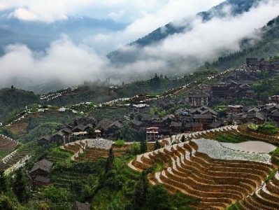 老洋钱罐"蹦"出羊小咩：奶奶藏了半世纪的温暖终于醒了