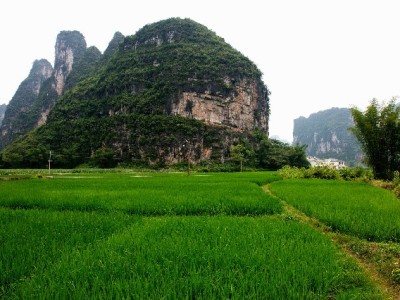 医保账户取现能操作吗？合规指南+“出财小神”风险提醒请查收