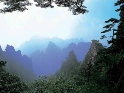 白条取现买基金？三重风险可能让你“偷鸡蚀米”