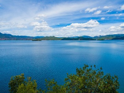 白条额度套现常见方法与法律信用风险全解析