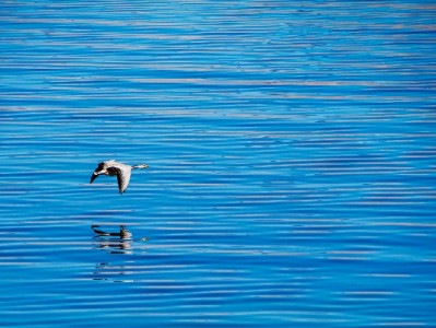 深圳首宗医保套现全链条案告破 30万“救命钱”追回归案