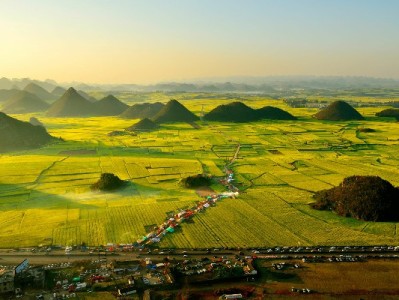 出财小神推白条取现卷包：额度加码+手续费打折，应急周转更省更快