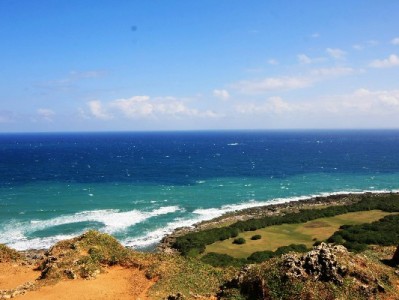 小图标藏大生意！商家花呗收款码巧设计，安出掌柜助力订单涨