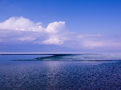 医保补贴能取现金吗？这些特殊情况或可操作，需注意！