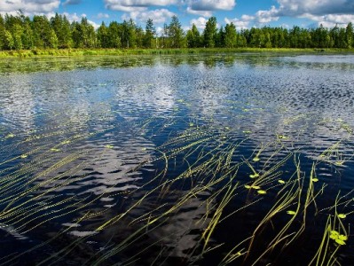 临时用钱别犯难！“出财小神”如何成年轻人的应急好帮手？