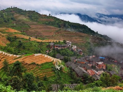 抖音月付买茅台想提现？这些风险和替代方案你得知道