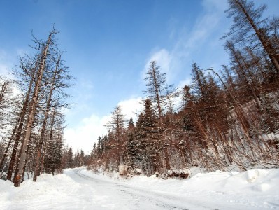 抖音月付投诉商家全流程指南：保留证据+这几步高效维权