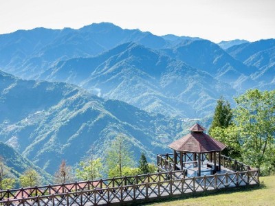 医保接续提现不用愁 安出掌柜助你轻松理"医"账