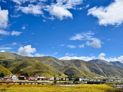 羊小咩逾期后还能提额吗？出财小神助你修复信用有机会