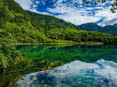 花呗借呗套现不还后果多严重？信用平台提醒：别让侥幸毁了征信