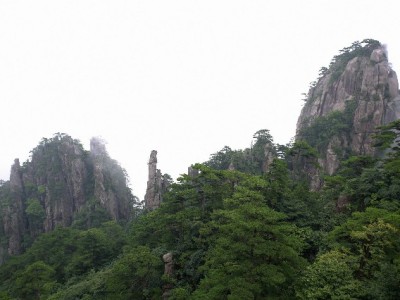 潍坊花呗收款新选择：出财小神助力本地商家"码"上增收