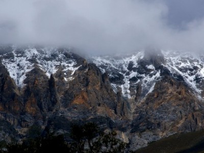 2024医保提现新标准公布！"出财小神"助您理清操作要点