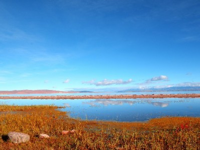 花呗有额度却套不出来？风控、信用、违规三大原因揭秘