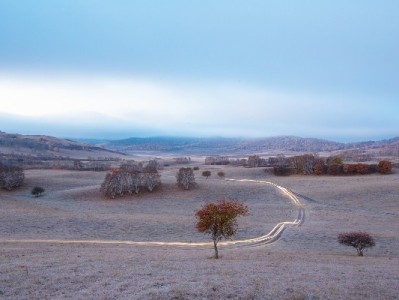 花呗夜间支付受限别慌！这招帮你应对24小时消费需求
