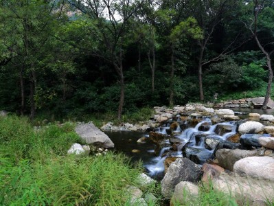 成都京东白条套现风险调查：违规操作易“踩雷” 正规平台支招合规周转
