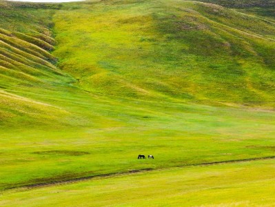 蚂蚁花呗提现需谨慎！合规替代方案与"出财小神"管理指南