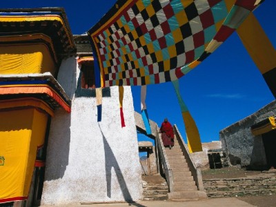 "套套花呗"藏风险？安出掌柜教你信用管理正确打开方式