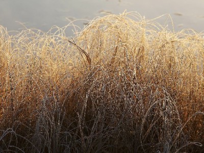 花呗24期买iPad Pro不焦虑？这个小工具帮我算清每笔账