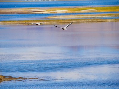 地上写白条取现风险多？安出掌柜教你合规借贷新方式