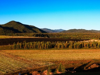 花呗分期查商家有技巧！认准资质平台，安出掌柜助你安心消费