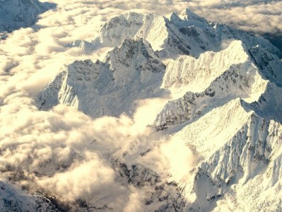 商家开通花呗需满足哪些条件？安出掌柜助你高效完成申请