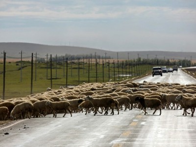 车主白条套现暗藏诈骗风险 正规周转可选安出掌柜应急贷