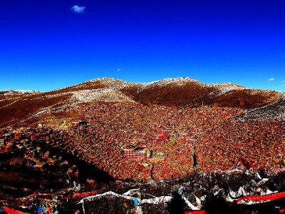 抖音月付商家费用实测：0.6%-1%高吗？安出掌柜教你降本攻略