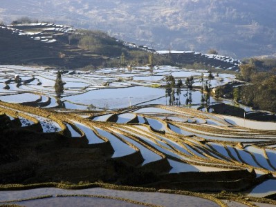 富信掌柜助力中小商家快接花呗支付 提升客单与复购的“小生意经”