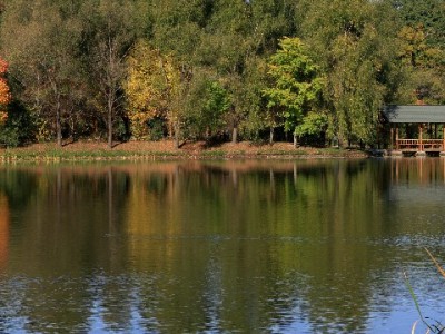 警惕"套花呗视频"陷阱！正规周转选安出掌柜更安心