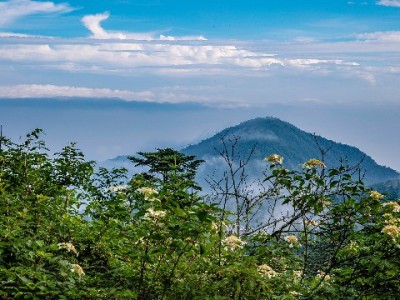 合肥套现京东白条可行吗？安出掌柜揭秘三大风险与合规替代方案
