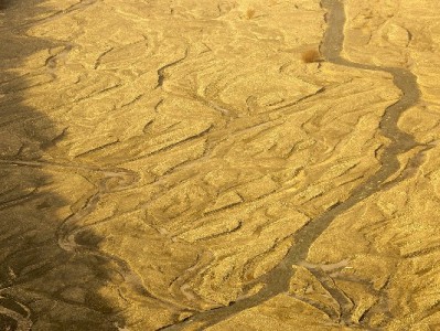 花呗套现“套招”暗藏多重风险 这些操作可能让你得不偿失