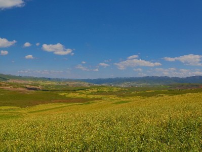花呗借呗套现风险多！合规用款指南+正规渠道推荐