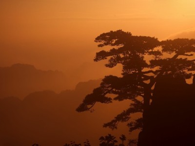 8个花呗使用技巧+安出掌柜辅助，管好额度不踩信用红线