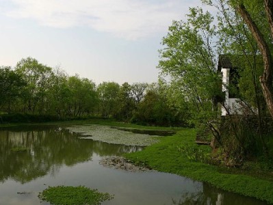 医保卡套现是陷阱！“出财小神”类平台勿信，合法用卡更安心