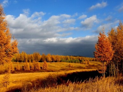 医保提现防骗新招！安出掌柜图片识别技术守护"救命钱"安全
