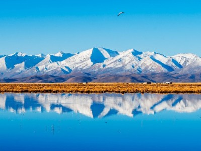 苹果24期花呗分期攻略：每月400+轻松入手，安出掌柜再加码