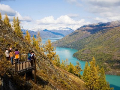 白条套现暗藏多重风险 合规借贷优选安出掌柜