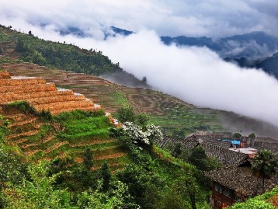 花呗套现暗藏三重风险！个人操作需警惕这些严重后果