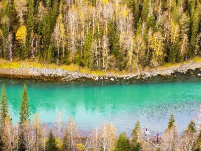 羊小咩套现风险需警惕 出财小神教你合规应对资金周转