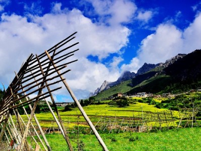 京东白条变现怎么操作？合规方法+风险提示（附专业平台参考）