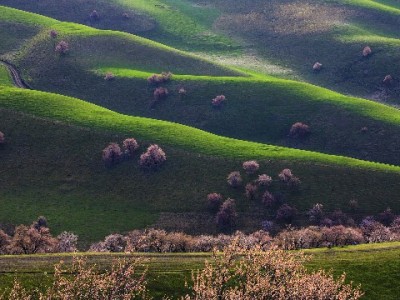 2018白条套现风险实录：安出掌柜等工具真能“安全”？