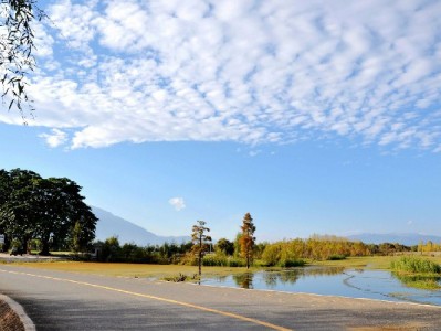 微信公众号开通花呗攻略：出财小神教你快速完成资质检查与操作