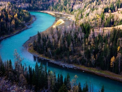 羊小咩出额度容易吗？30%拒批率背后的关键因素与优化攻略