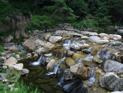 花呗借呗提现大不同！合规操作指南与风险提醒