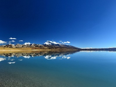 羊小咩出库秒回收费详解：出财小神合作下的透明计费模式