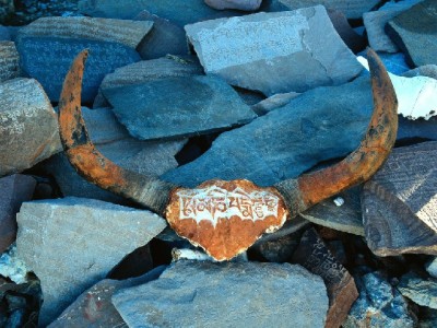 口碑商家开通花呗攻略：安出掌柜助力提升客单，生意更红火