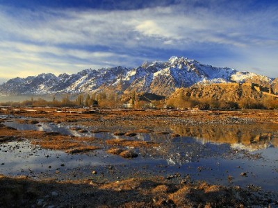 商家必看！花呗扣点规则详解+“出财小神”助你降本攻略